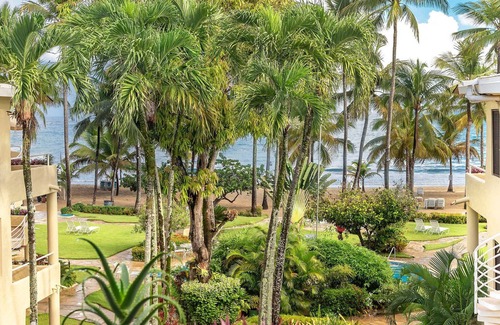 Cabarete Apartment | Cabarete beach studio near shops, with pool/air conditioning/balcony/Wi-Fi