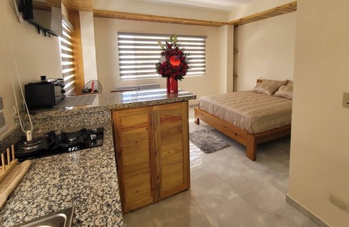 Constanza Apartment | Center Point, Monoambiente