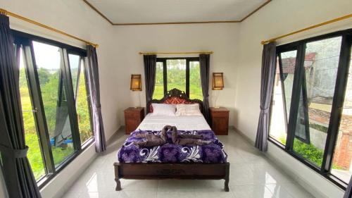 Lovina Hostel | Darren Hostel