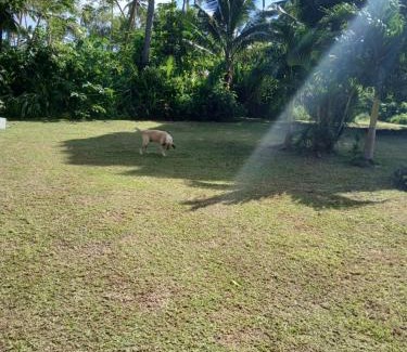 Korolevu House | Grace Homestay
