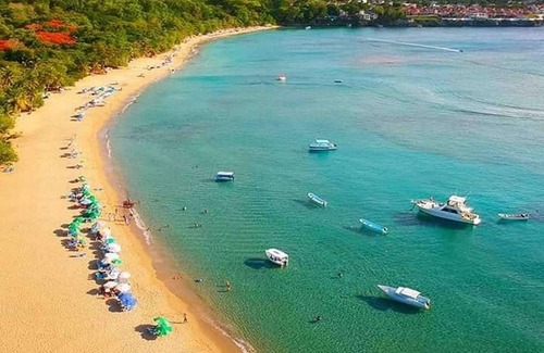 ProCab Apartment | Inexpensive pets-friendly studio near beach