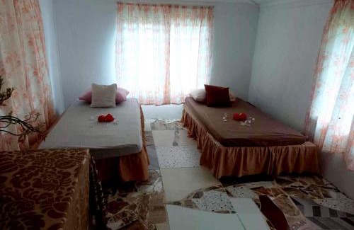 Taveuni Island East House | JayDees Home Retreats Homestay