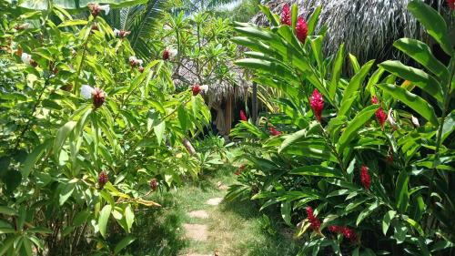 La Iglesia Other | Jungle Hut near Beach - Nature Lovers