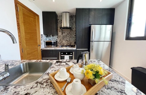 Downtown Santo Domingo Apartment | LUXURIOUS APARTMENT IN PIANTINI!