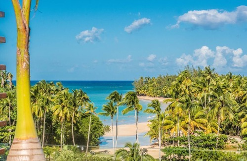 Las Terrenas Apartment | RIBERAMAR 5 star OCEAN VIEW PENTHOUSE W/ROOFTOP TERRACE, JACUZZI