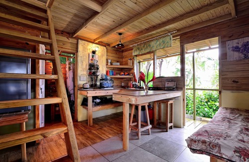ProCab Ski Chalet | Tropical guesthouse by the pool in the lush garden and best area close to beach.