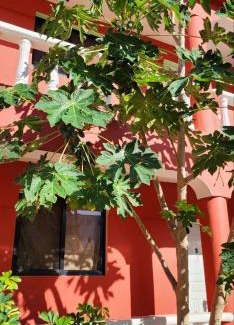 Punta Rucia House | Villa KIKI Ensenada