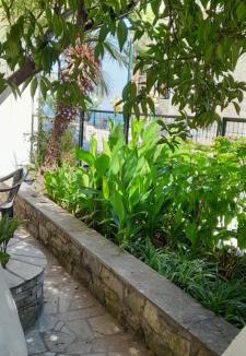 Milina Apartment | Γοργονα