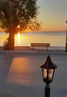 Milina Apartment | Γοργονα