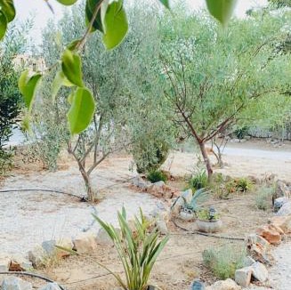 Ierapetra Apartment | Εmmi