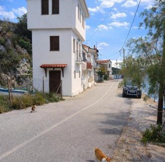 Trikeri House | Μπροστά στο ναυάγιο Καλή τύχη
