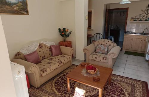 Arachova Apartment | Ξενώνας Ρούμελη