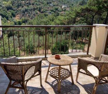 Armenistis Apartment | #1 Despina Studios Raxes Ikaria