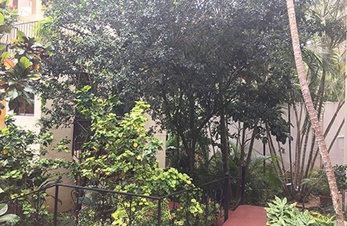 Sosua Apartment | 1BD guest-friendly condo opposite main Sosua supermarket, TV/Wi-Fi/pool