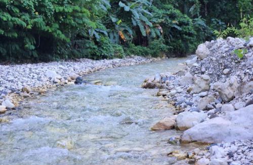 Paraiso Apartment | 2 Bdrm 1 Bath Near River and Beach, 3L