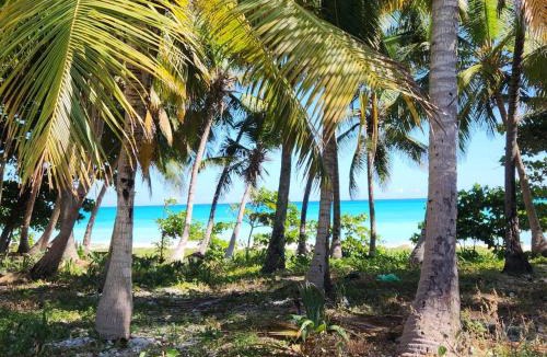 Paraiso Apartment | 2 Bdrm 1 Bath Near River and Beach, 3L, Paraiso, Barahona