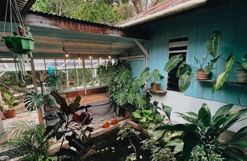 Rantepao Bed & Breakfast | 24 Traphouse