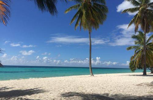 Dominicus Bed & Breakfast | 25 m² Bed and breakfast ∙ 4 guests