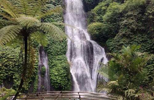 Munduk Other | 3 days jungle trekking adventure tour and camping