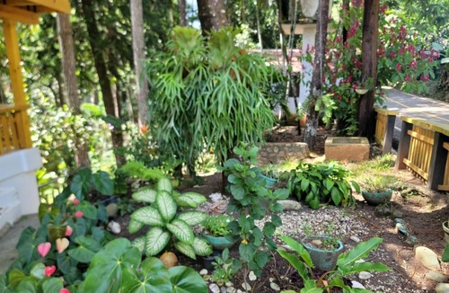 La Joya Cabin | 4 Bedroom Cabin In Lovely Jarabacoa with Pool
