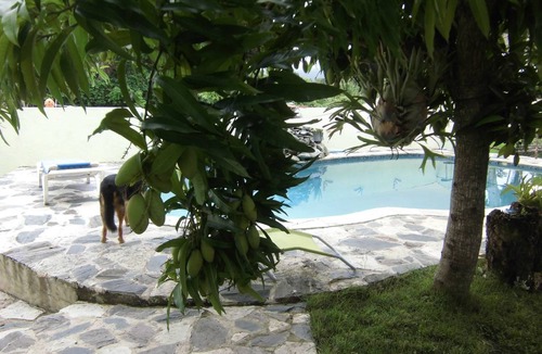 Cofresi Apartment | 60 m² Apartment ∙ 1 bedroom ∙ 2 guests