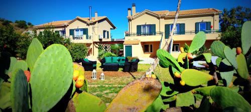 Paliki Apartment | A casa d'Irene