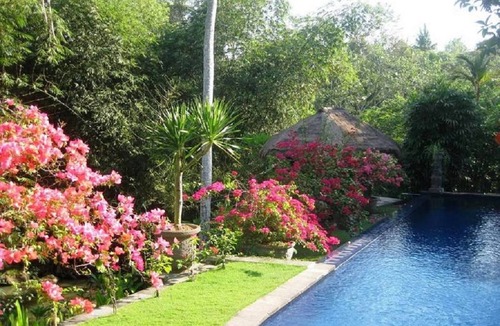 Cepaka Villa | Adorable 3BR Villa, W/Garden, Tabanan! 15Min Drive To Tanah Lot Temple! W/Pool!