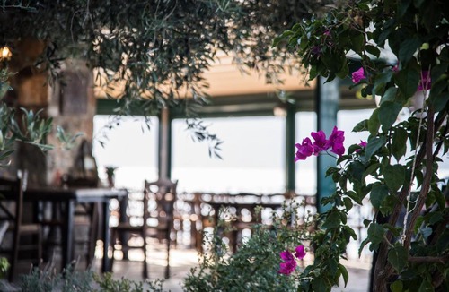 Platees Apartment | Agrilia Koromili Retreat