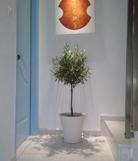 Ermoupoli Apartment | Aiantas