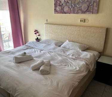 Leptokaria Apartment | Alexandros Hotel
