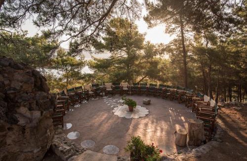 Petra Hotel | Alma Hotel