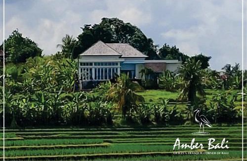 West Selemadeg Apartment | Amber Bali - Villa with serenity