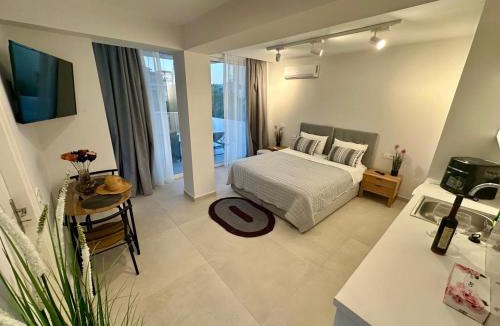Zakynthos Town Hotel | AMINA APARTMENTS