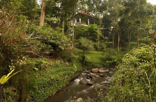 Ciloto Villa | An invigorating break from the city immersed in fresh air and breathtaking view