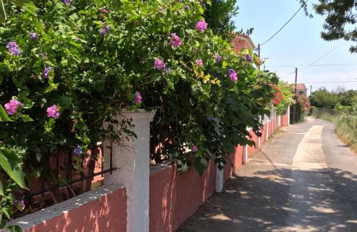 Acharavi Apartment | Antigoni Apartments