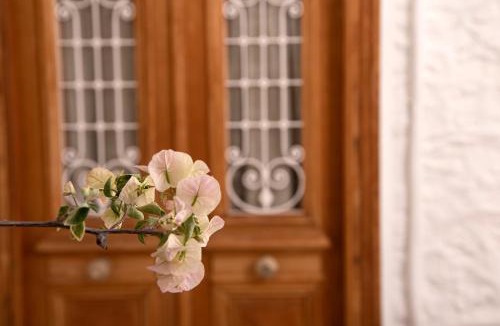 idhra Villa | Antoinette Mansion