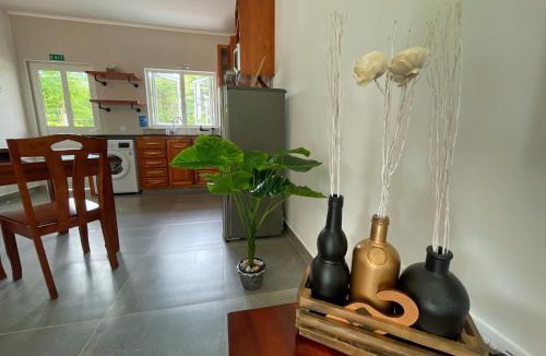 Grand Anse Apartment | ANV HOLIDAY APARTMENTS