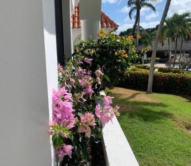 La Mulata Apartment | Aparta Hotel Monte Vista