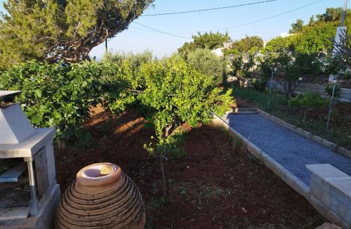 Pefki House | Apartman Ivan Kreta