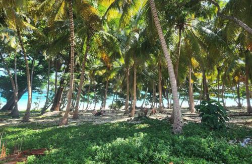 Paraiso Apartment | Apartment in front of beach, AC, Wifi, Hot Water