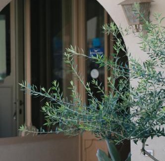 Argostoli Town Hotel | Argostoli Hotel