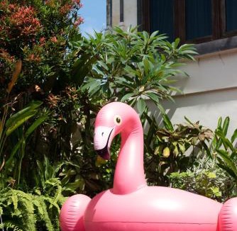 Beraban House | Aryma Guest House near Nuanu City, Kedungu Beach and Tanah Lot