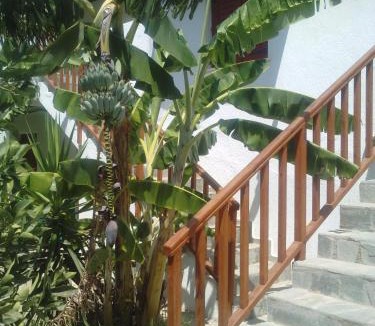 Lassithi Prefecture Apartment | Athina Villas