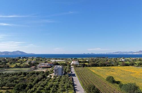 Zipari Apartment | Aurelea Luxury Apartments