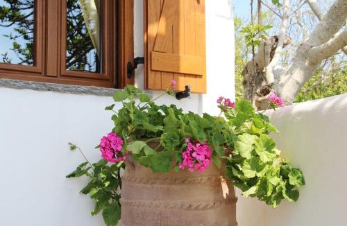 Falatados Apartment | Axahas