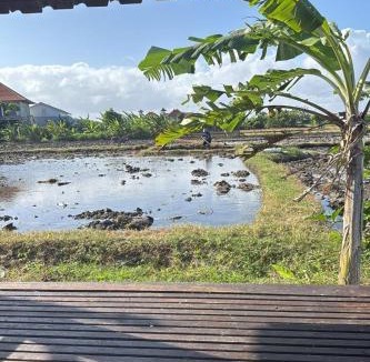 Renon Hostel | Bali Eco Living Yoga Healing Meditation and Retreat Center