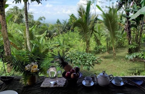 Selemadeg Cabin | Bali Mountain Forest Cabins