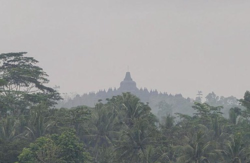 Borobudur Hostel | Banyuhostel