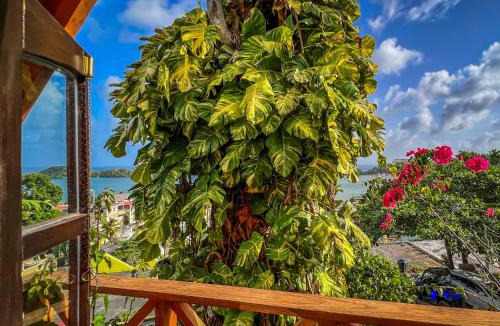 Barrio La Fortaleza Vieja Apartment | Bayview Chalet