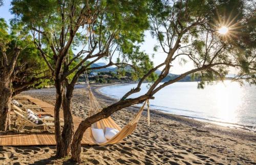 Koutsounari Apartment | Beachfront Apartments in Ierapetra Ferma Apothikes